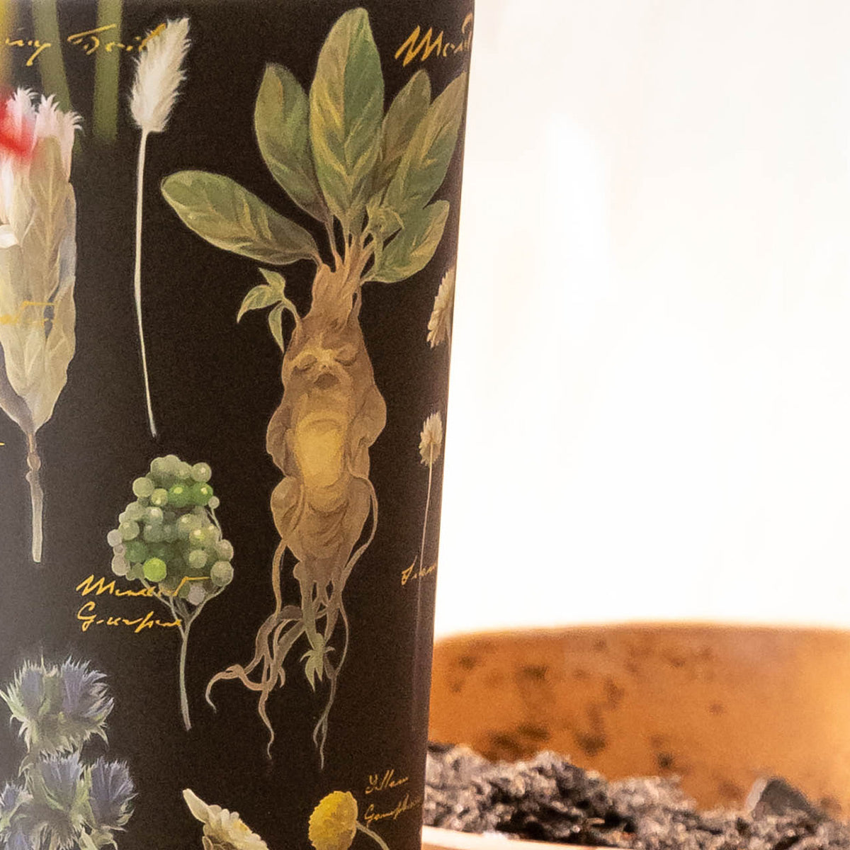 harry-potter-cold-cup-i7 Herbology-3.jpg